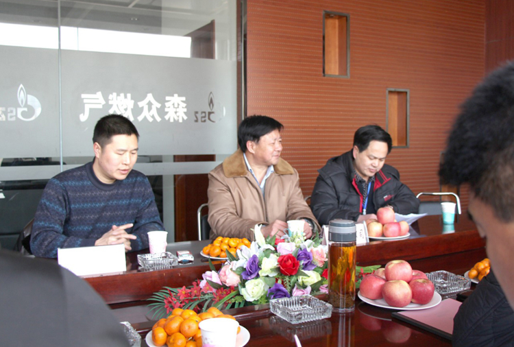 林口县政府与重庆李峰文化艺术中心有限公司燃气项目洽谈.png